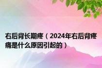 右后背长期疼（2024年右后背疼痛是什么原因引起的）