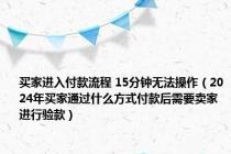 买家进入付款流程 15分钟无法操作（2024年买家通过什么方式付款后需要卖家进行验款）