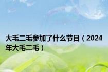 大毛二毛参加了什么节目（2024年大毛二毛）