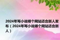 2024年写小说哪个网站适合新人发布（2024年写小说哪个网站适合新人）