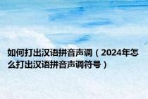 如何打出汉语拼音声调（2024年怎么打出汉语拼音声调符号）