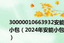 30000010663932安能小包（2024年安能小包）