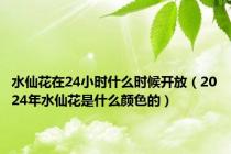 水仙花在24小时什么时候开放（2024年水仙花是什么颜色的）