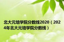 北大元培学院分数线2020（2024年北大元培学院分数线）