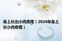 身上长出小肉疙瘩（2024年身上长小肉疙瘩）