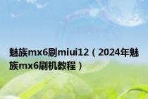 魅族mx6刷miui12（2024年魅族mx6刷机教程）