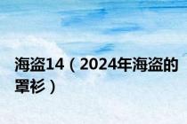 海盗14（2024年海盗的罩衫）