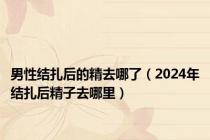 男性结扎后的精去哪了（2024年结扎后精子去哪里）