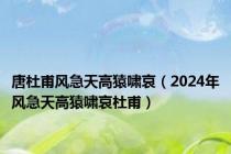 唐杜甫风急天高猿啸哀（2024年风急天高猿啸哀杜甫）