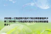 2024年一寸免冠照片的尺寸和分辨率都是多少啊（2024年一寸免冠照片的尺寸和分辨率都是多少）