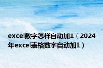 excel数字怎样自动加1（2024年excel表格数字自动加1）