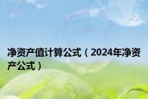 净资产值计算公式（2024年净资产公式）