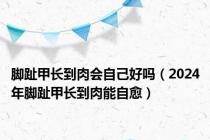 脚趾甲长到肉会自己好吗（2024年脚趾甲长到肉能自愈）