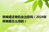 卵巢癌还有机会治愈吗（2024年卵巢癌怎么得的）