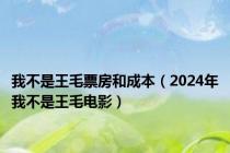 我不是王毛票房和成本（2024年我不是王毛电影）