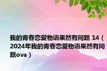 我的青春恋爱物语果然有问题 14（2024年我的青春恋爱物语果然有问题ova）