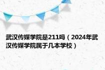 武汉传媒学院是211吗（2024年武汉传媒学院属于几本学校）