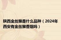 陕西金丝猴是什么品种（2024年西安有金丝猴香烟吗）