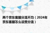 两个京东客服分流不均（2024年京东客服怎么设置分流）