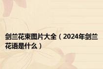 剑兰花束图片大全（2024年剑兰花语是什么）