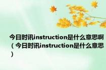 今日时讯instruction是什么意思啊（今日时讯instruction是什么意思）