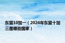 东盟10加一（2024年东盟十加三是哪些国家）