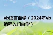 vb语言自学（2024年vb编程入门自学）