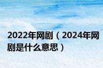 2022年网剧（2024年网剧是什么意思）