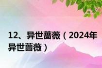 12、异世蔷薇（2024年异世蔷薇）