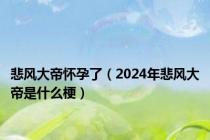 悲风大帝怀孕了（2024年悲风大帝是什么梗）