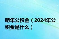 明年公积金（2024年公积金是什么）