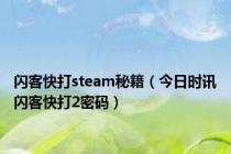 闪客快打steam秘籍（今日时讯闪客快打2密码）