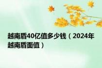 越南盾40亿值多少钱（2024年越南盾面值）