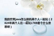 我的世界java怎么联机两个人一起玩（2024年两个人在一起玩1769是个什么意思呀）