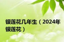 银莲花几年生（2024年银莲花）