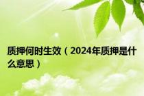 质押何时生效（2024年质押是什么意思）