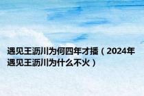 遇见王沥川为何四年才播（2024年遇见王沥川为什么不火）