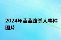 2024年蓝蓝路杀人事件图片