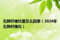 左肺纤维灶是怎么回事（2024年左肺纤维灶）