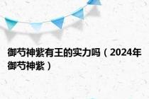 御芍神紫有王的实力吗（2024年御芍神紫）