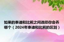 如果的泰迪和比熊之间选择你会养哪个（2024年泰迪和比熊的区别）