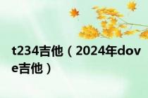 t234吉他（2024年dove吉他）