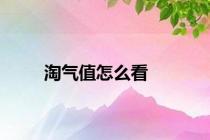 淘气值怎么看