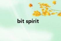 bit spirit