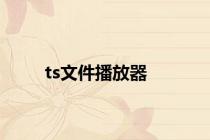 ts文件播放器