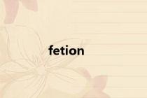 fetion