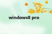 windows8 pro