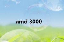 amd 3000