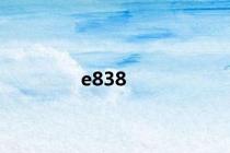 e838