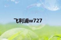 飞利浦w727